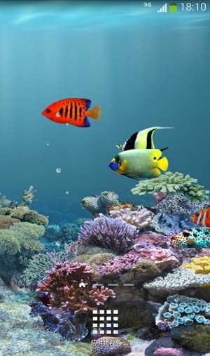 水族馆动态壁纸TV版