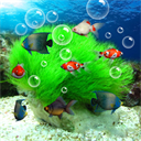 水族馆动态壁纸TV版