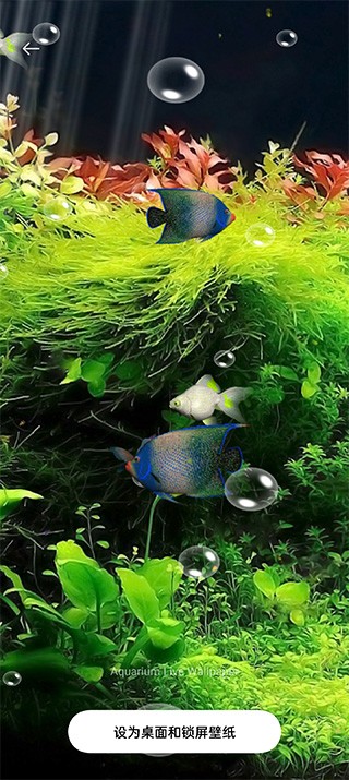 水族馆动态壁纸TV版截图4