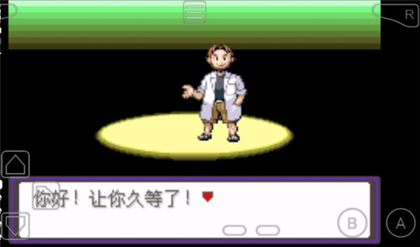 口袋妖怪漆黑的魅影EXBW截图1