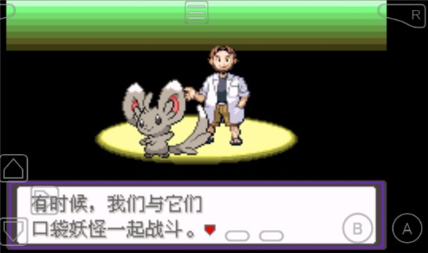 口袋妖怪漆黑的魅影EXBW截图2