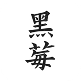 黑莓浏览器