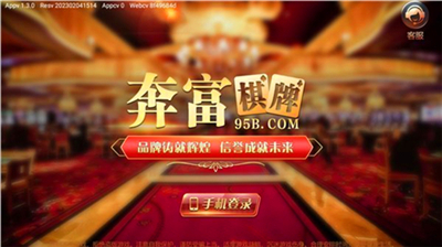 大热门2奔富安卓版截图2