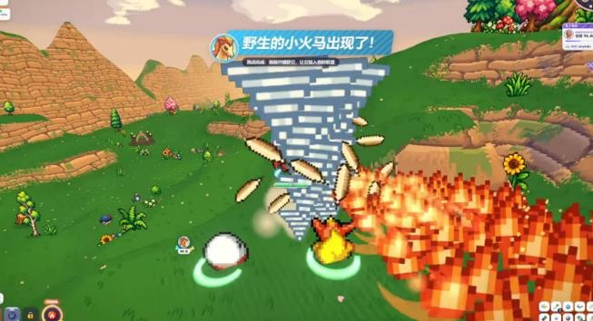 宝可梦Bonk