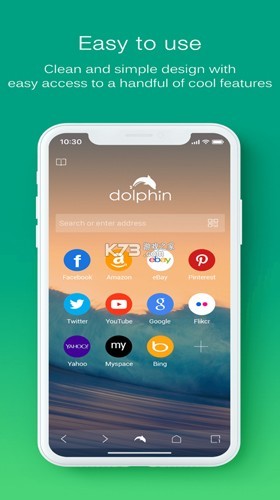 海豚浏览器原版截图1