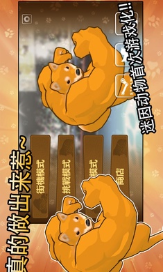 动物之战免广告版截图2