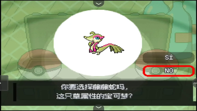 宝可梦轴芯汉化版截图1