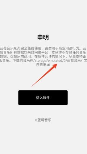 蓝莓音乐极速版