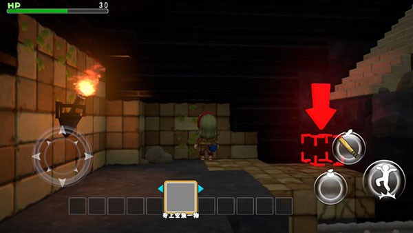 勇者斗恶龙创世小玩家2中文版截图2