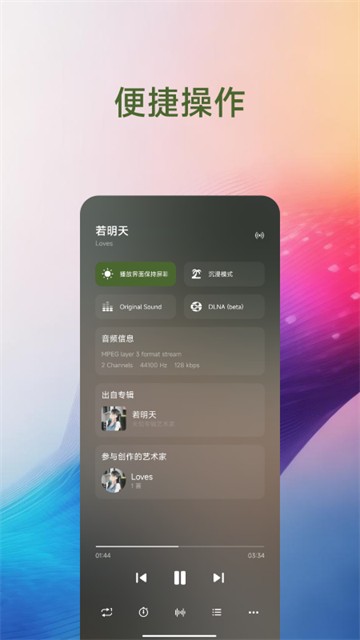 椒盐音乐车机版截图4